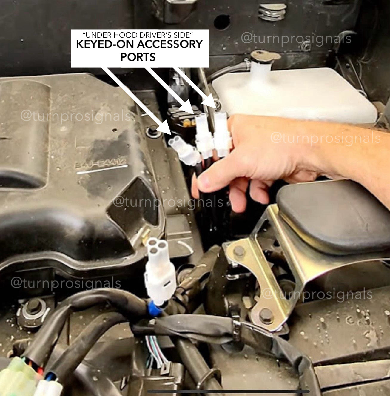 Yamaha RMAX 2020-25 Models Fang Light Plug & Play Signal System