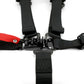 5 Point 2-Inch Harness